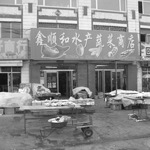 小镇上的一个水产商铺，这个故事就从这里开始。